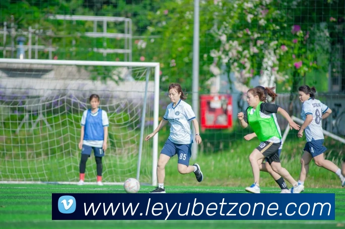 乐鱼体育APP 封面图